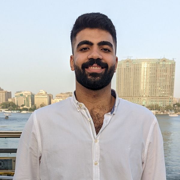 Hossam Mostafa Mohammed
